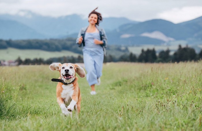 草原の中を走る女性と犬
