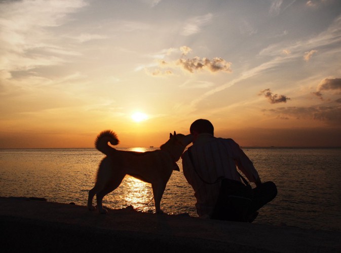 夕陽を背景に一緒にいる人と犬