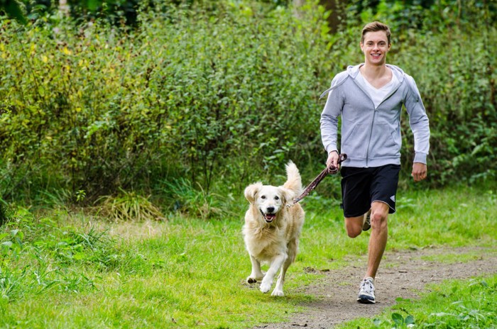 男性とジョギングする犬