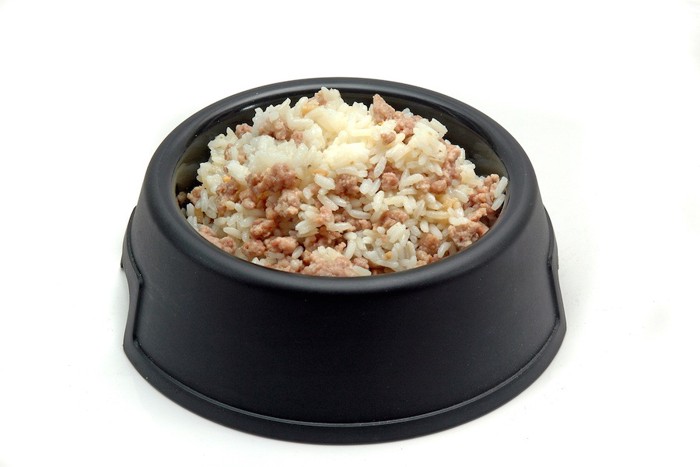 犬用のお米の手作り食