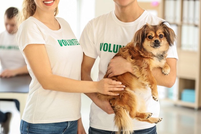 犬を抱っこするボランティアの若者
