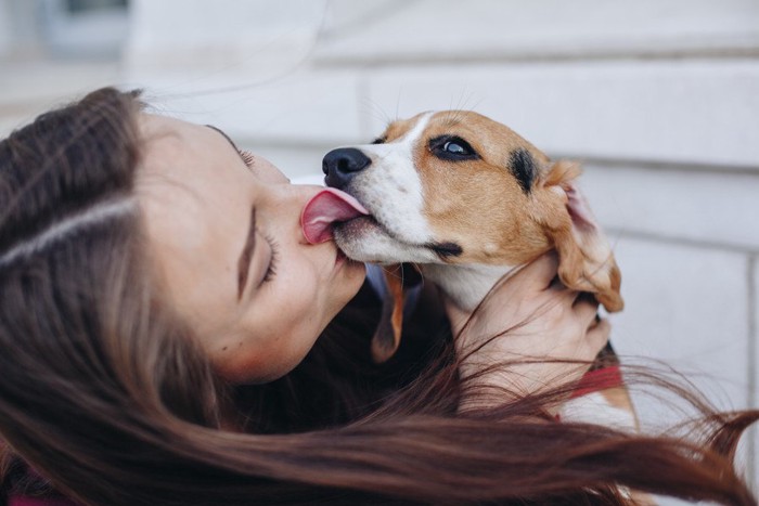 女性を舐める犬