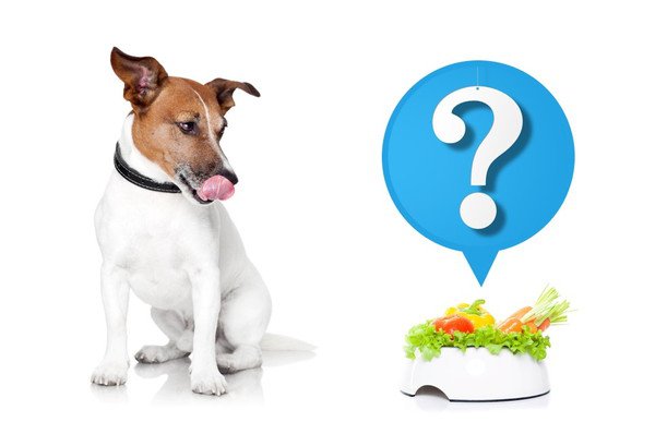 犬が食べていい野菜はあるの？