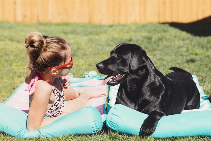 日光浴を楽しむ少女と犬
