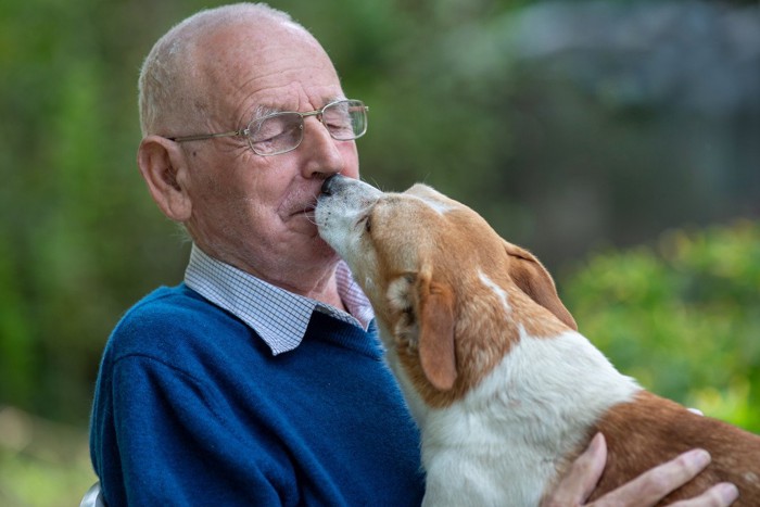 高齢男性にキスをする犬