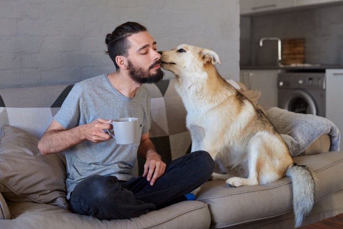 愛犬からキスされる男性
