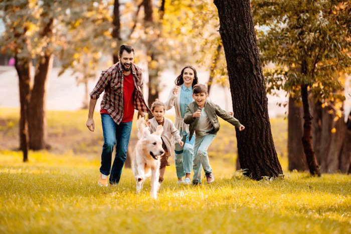 公園を走る犬と家族