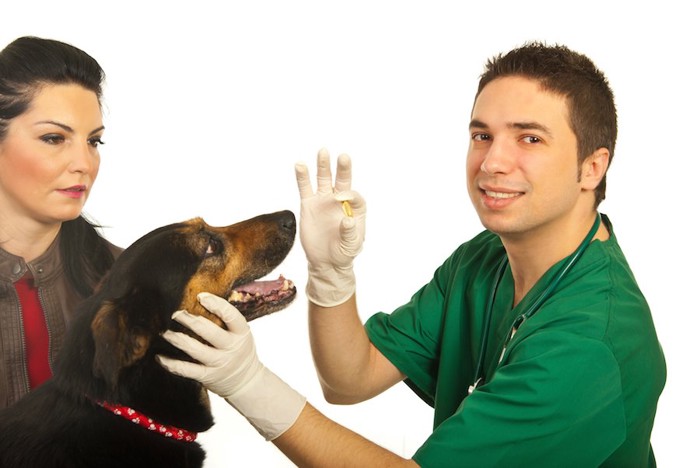 薬を持つ獣医師と口を開けている犬