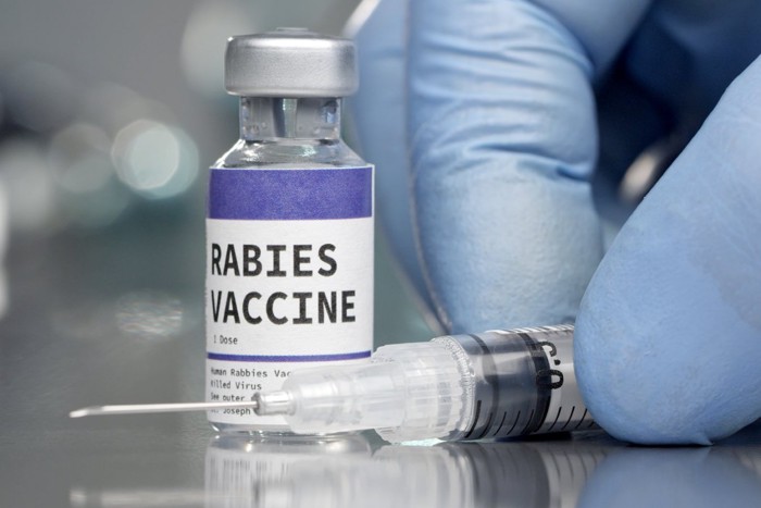 狂犬病ワクチン