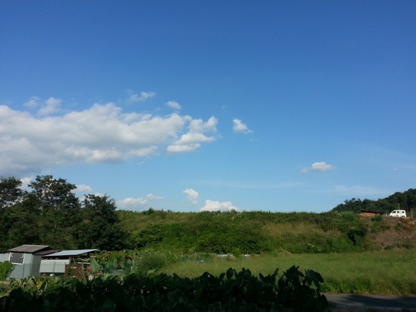 青空、田舎の風景
