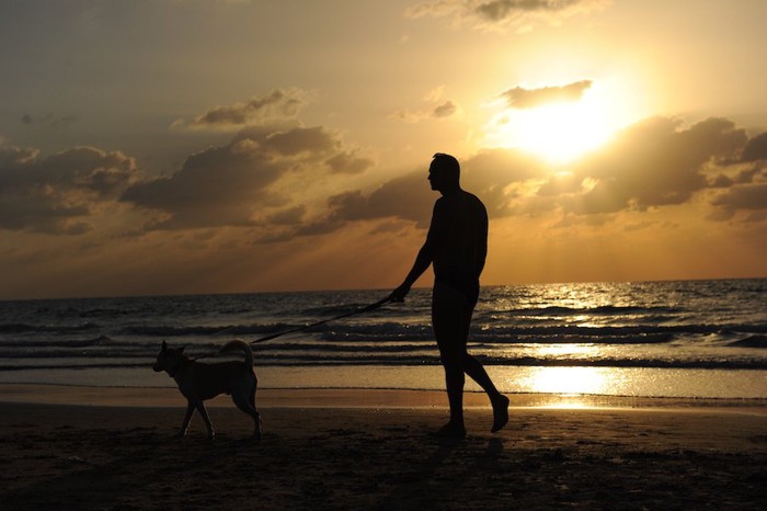 夕暮れの海岸を散歩する男性と犬
