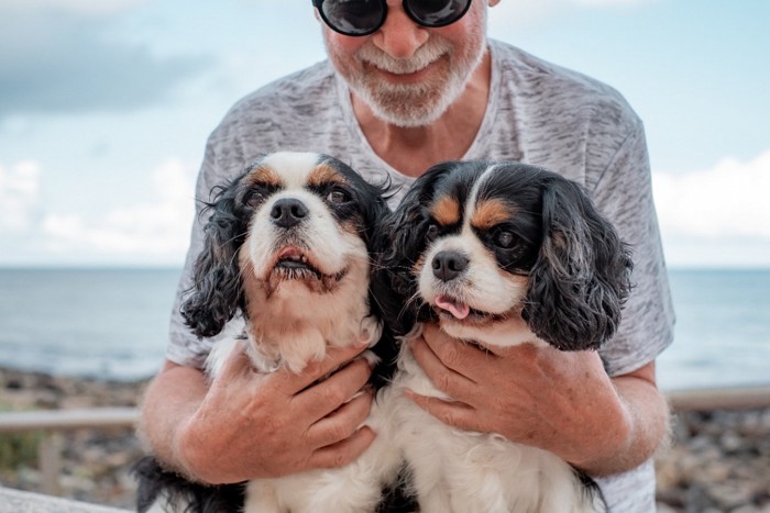 2頭の老犬と男性