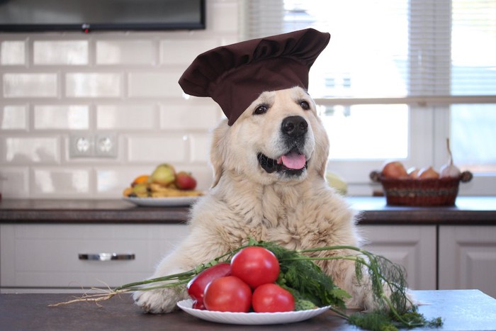 シェフの帽子をかぶった犬と野菜