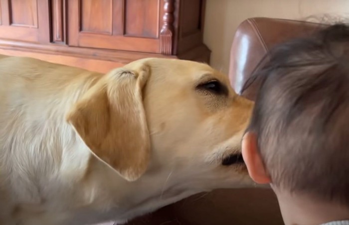 赤ちゃんの顔を舐める犬