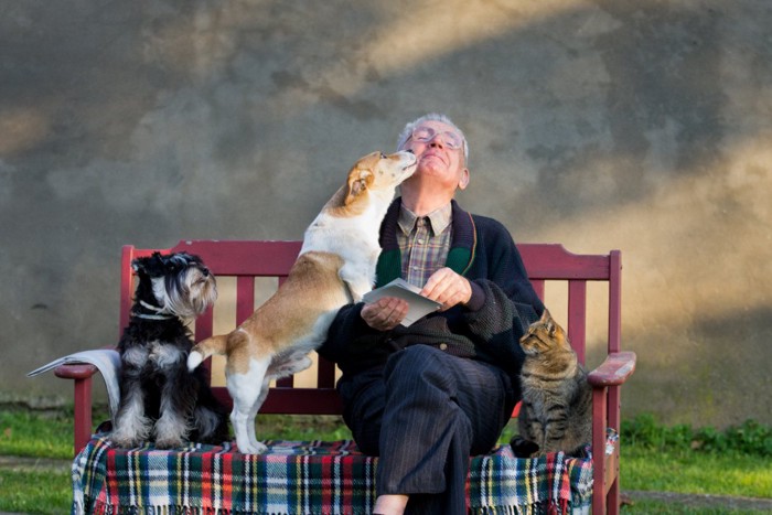 犬と猫と年配の男性