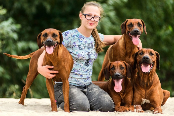 4匹の大型犬と女性