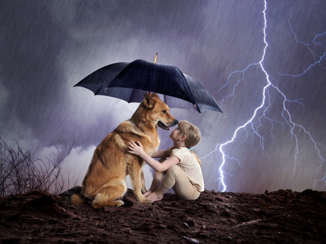 雷と犬と少年