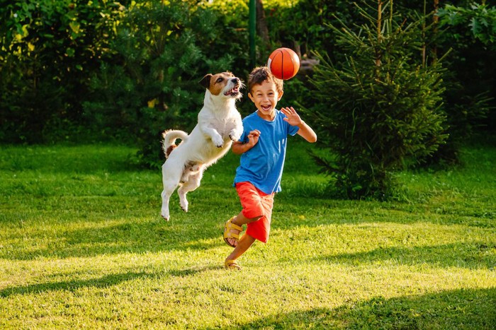 ボールで一緒に遊ぶ犬と子供