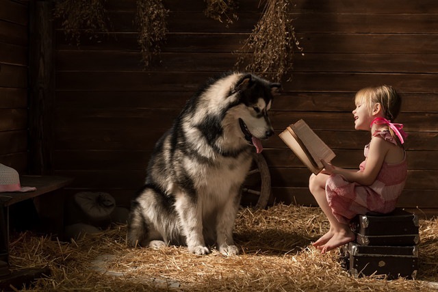 大きな犬に本を読む少女