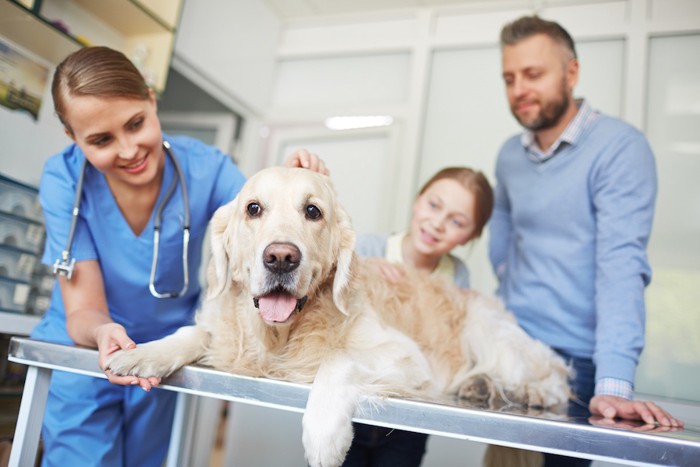 笑顔で犬を診察する獣医師と飼い主