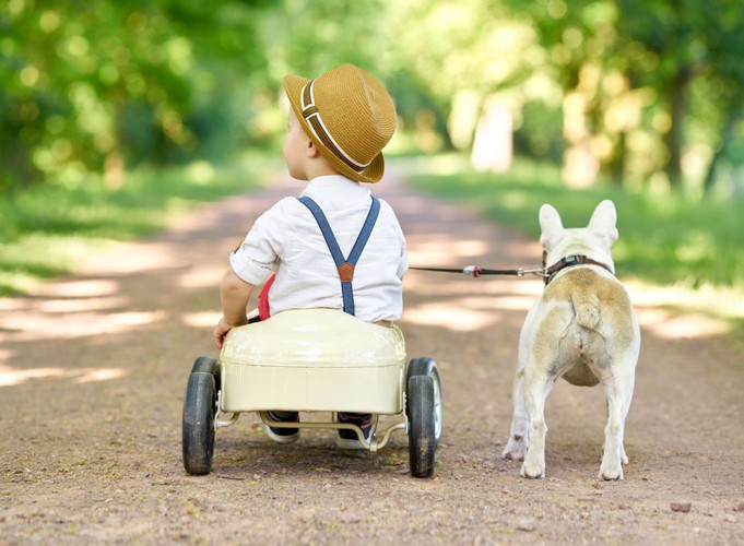 散歩をする子供と犬