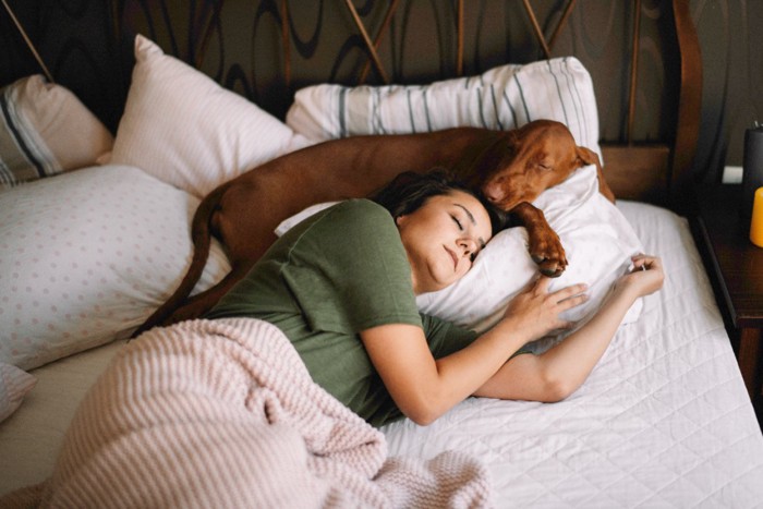 女性と枕を共有して眠る犬