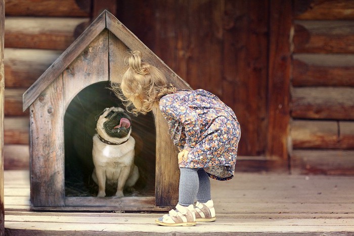 犬小屋と犬