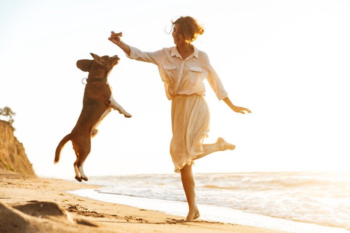 ジャンプする女性と犬