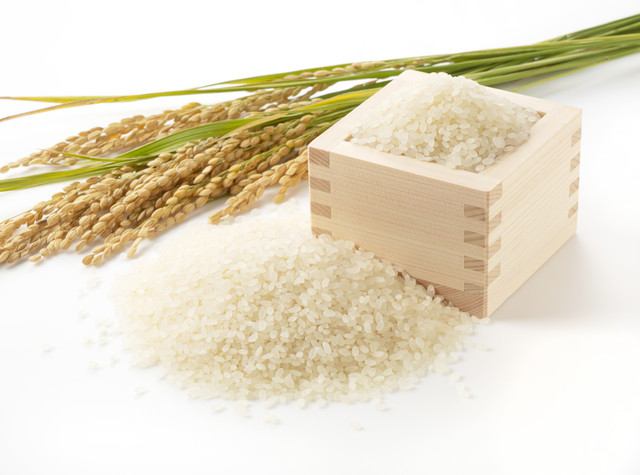 お米と稲と枡