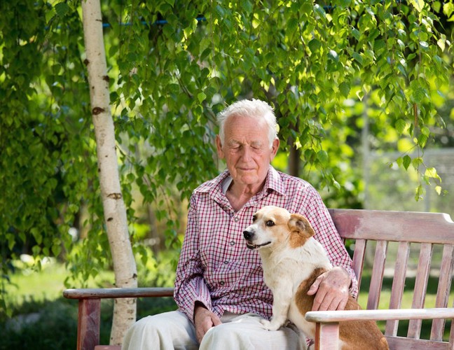 ベンチに座るおじいさんとコーギー犬