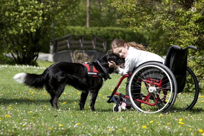 車椅子に乗る女の子と介助犬