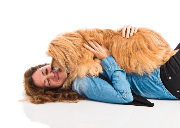 茶色犬と寝る女性