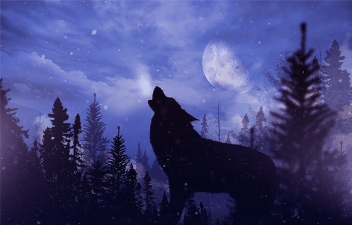 月夜に吠える狼犬