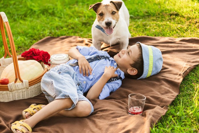 犬とピクニックにきた少年