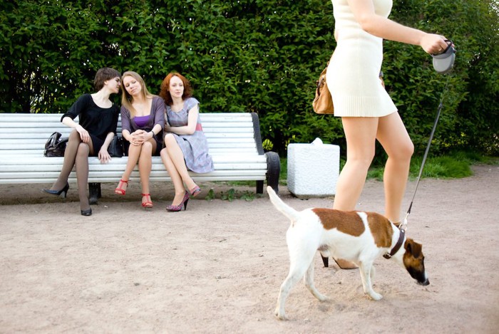 お散歩中の犬をベンチから見る3人の女性