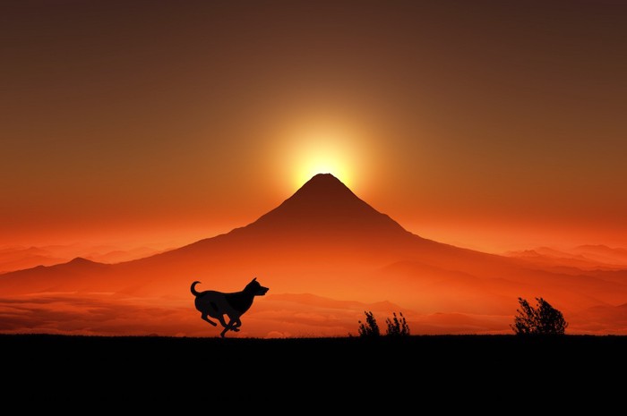 富士山の日の出と走る犬のシルエット