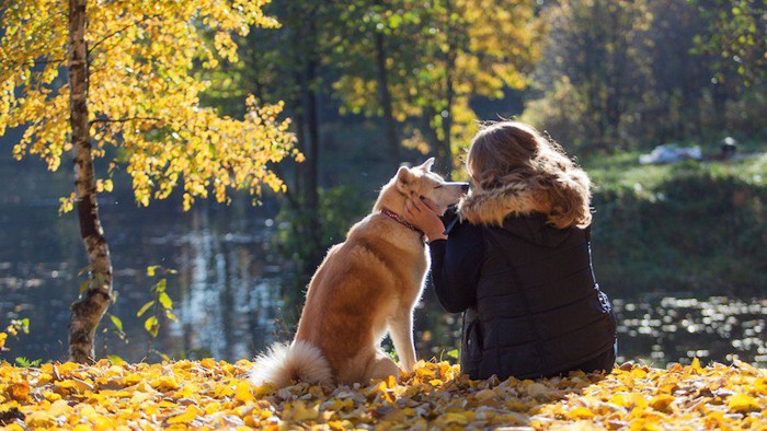 落ち葉の上に座って犬と触れ合う飼い主