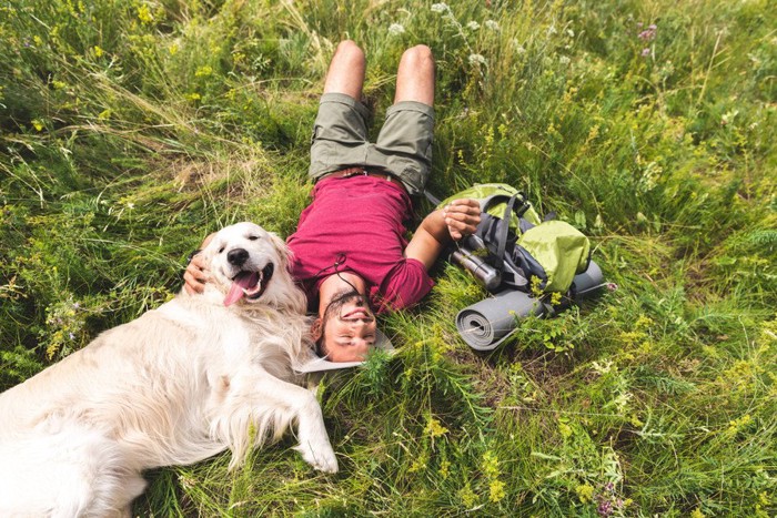 草原で寝転がる飼い主さんと大型犬