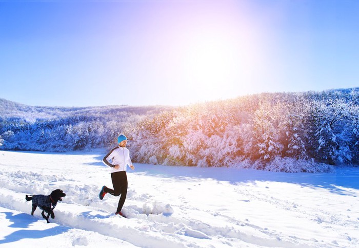 雪の中を走る男性と黒い犬