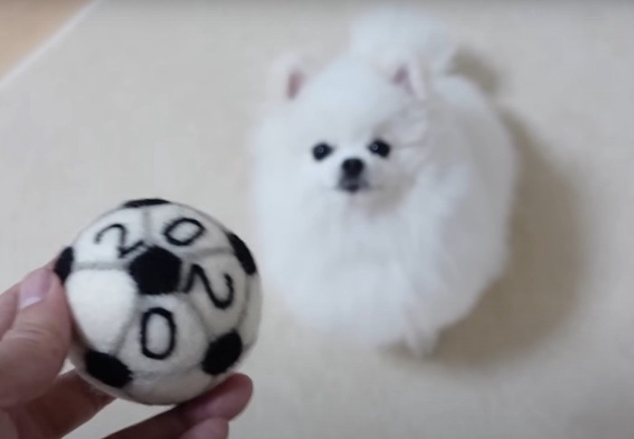 ボールを持つ手と見上げる犬