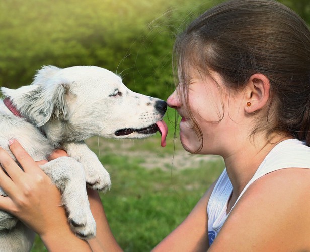 女の子の口を舐める犬