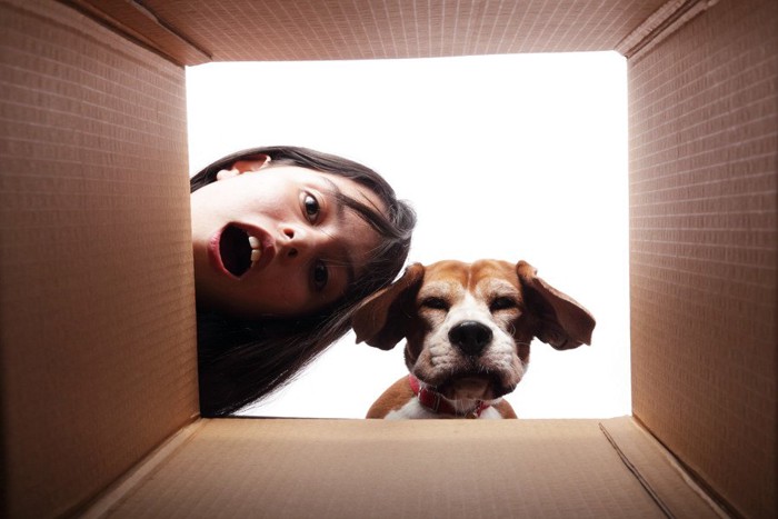箱を覗き込む犬と女性