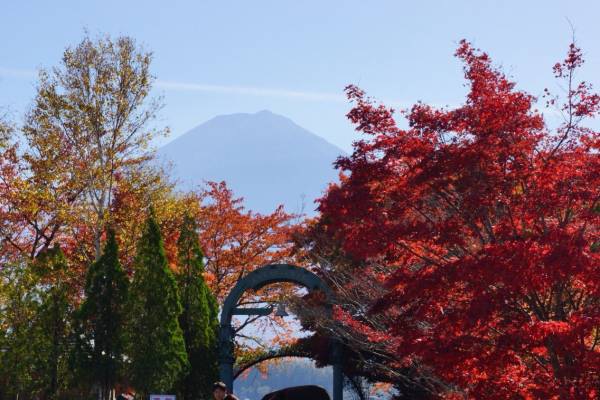 紅葉の奥に富士山