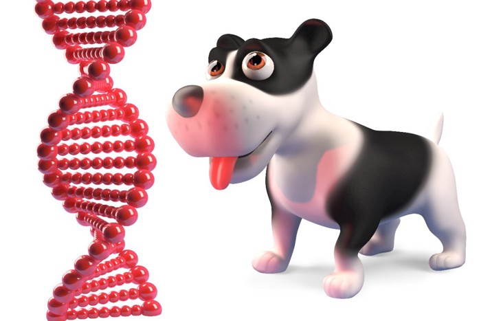 犬とDNAの3Dイラスト