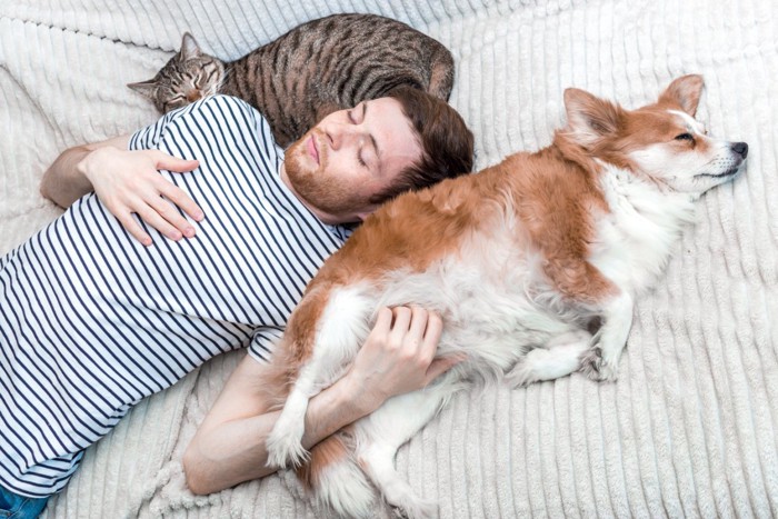 ベッドで眠る犬と猫と男性