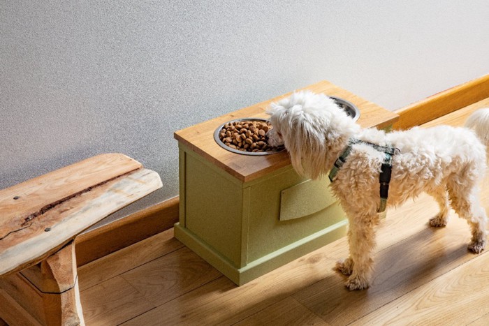 犬用ダイニングテーブル