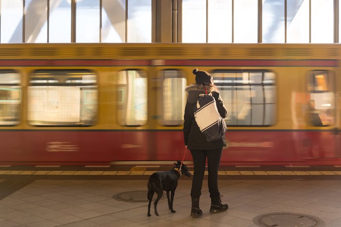 駅のホームに立つ女性と犬