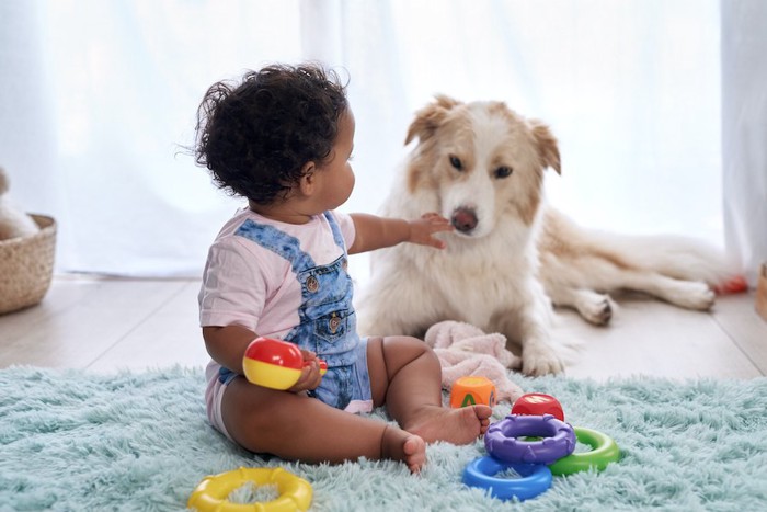 おもちゃで遊ぶ赤ちゃんに寄り添う犬