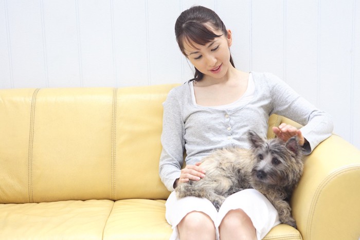 黄色いソファで犬を撫でる女性