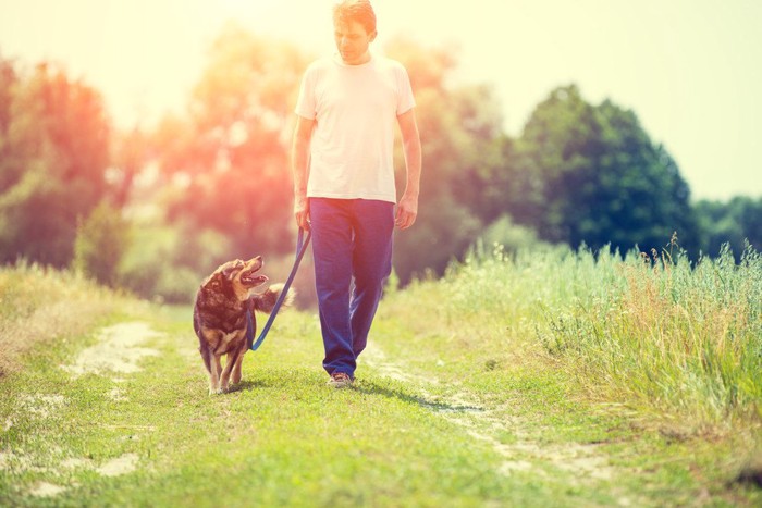散歩する男性と犬